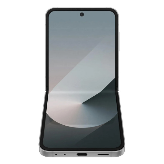 Samsung Galaxy Z Flip 6 F741B 12/256Gb Global Серый